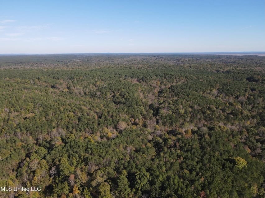 Carver Point Timber Tract in Grenada Co at Grenada Lake