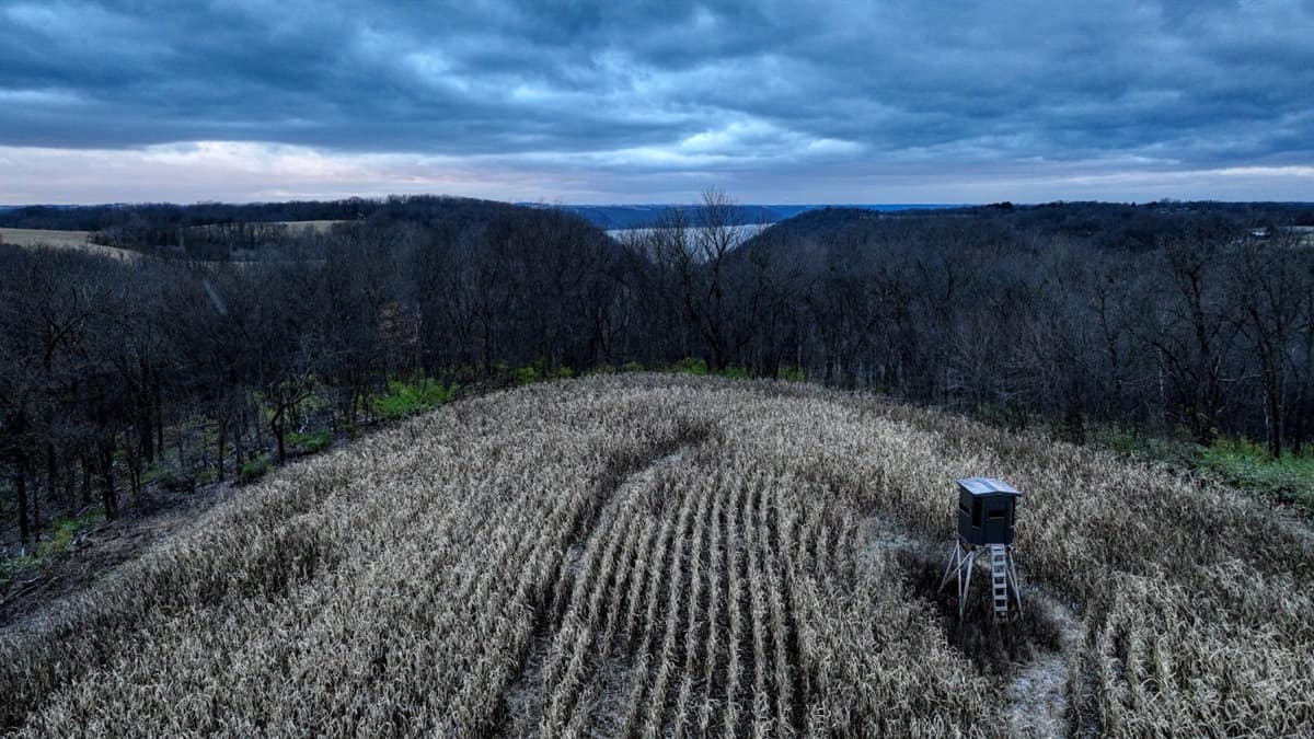52+/- Acre Property Located on Lucky Lane in Crawford County, WI
