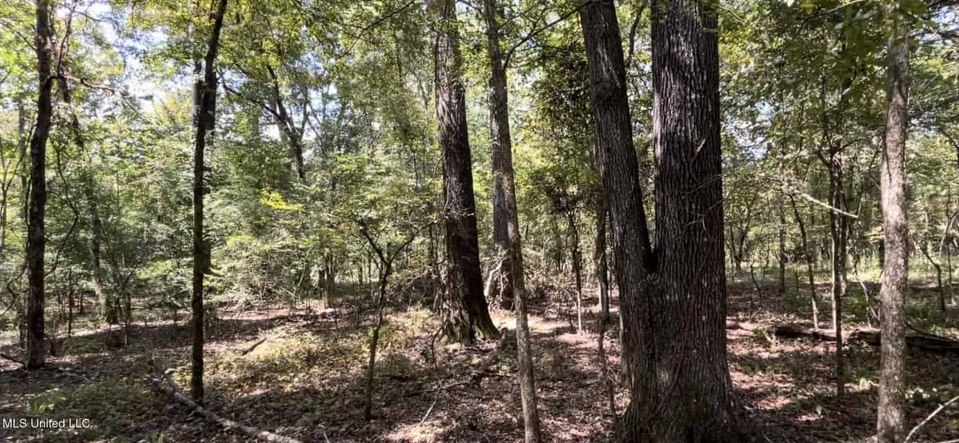 100 Acres of Prime Development or Country Homesite
