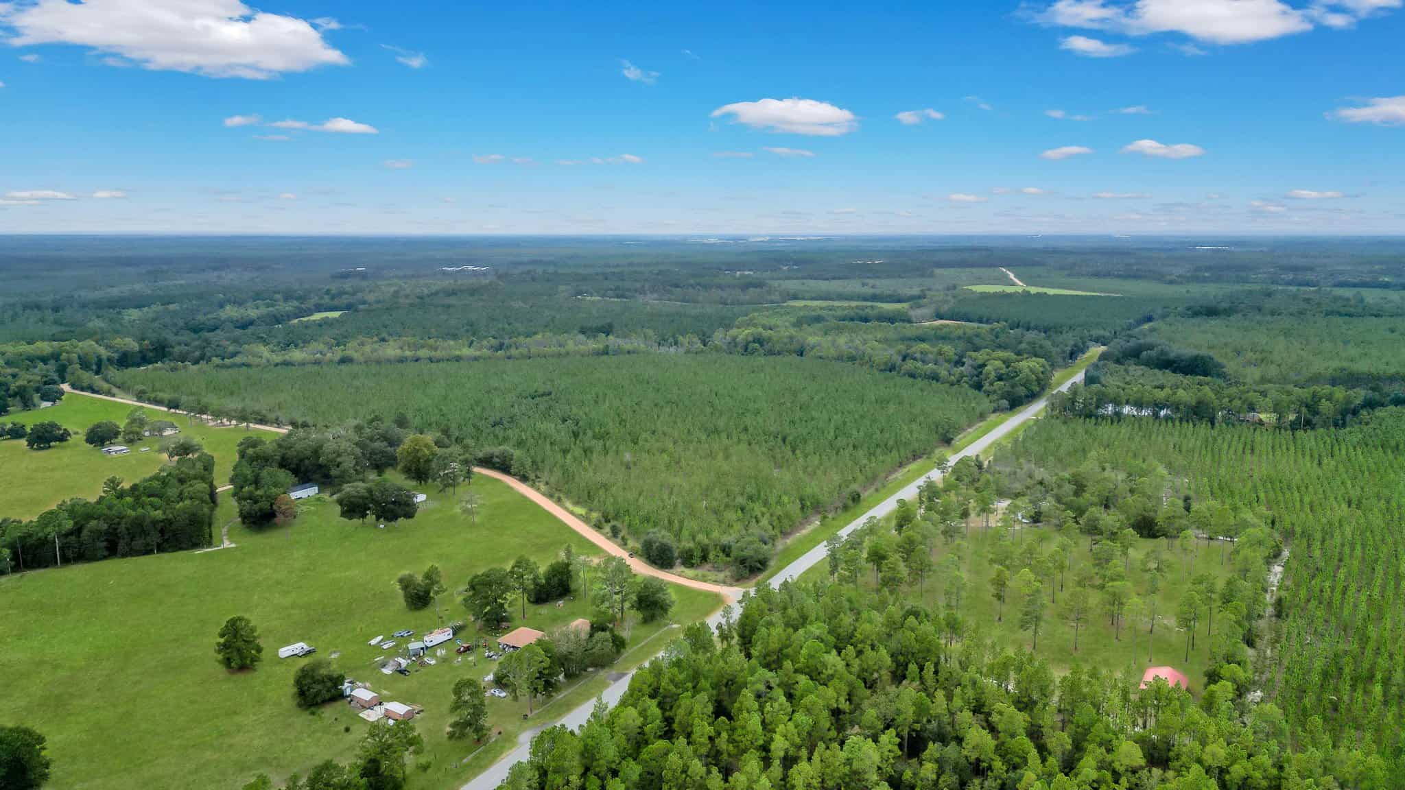 Woodpecker Trail Olive Farm for Sale