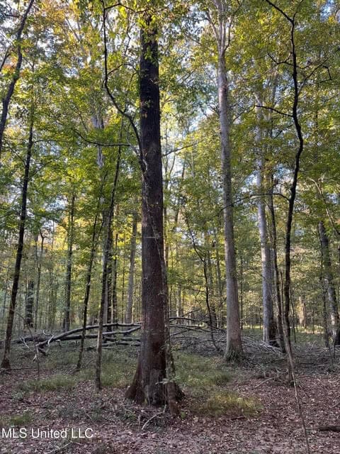 Great Hunting Tract in Bolton, MS for Sale
