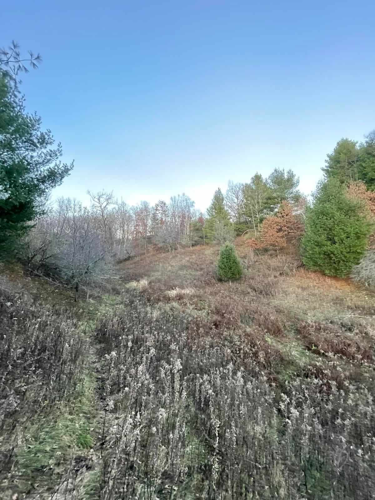Monroe County Hunting Property 44+/- Acres