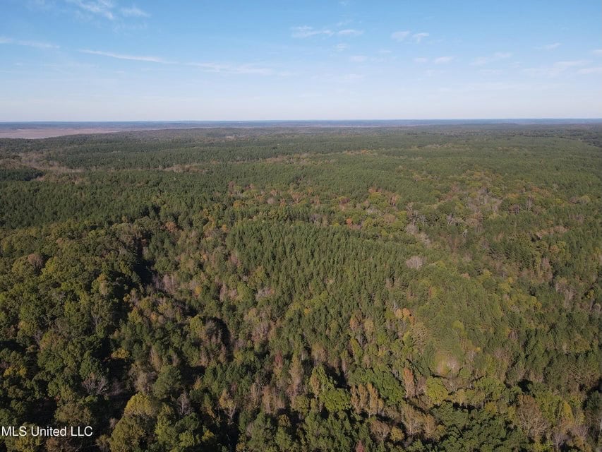 Carver Point Timber Tract in Grenada Co at Grenada Lake