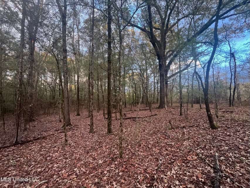 100 Acres of Prime Development or Country Homesite