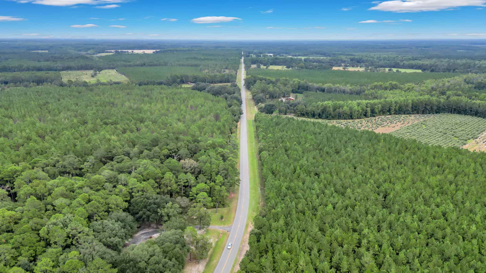 Woodpecker Trail Olive Farm for Sale