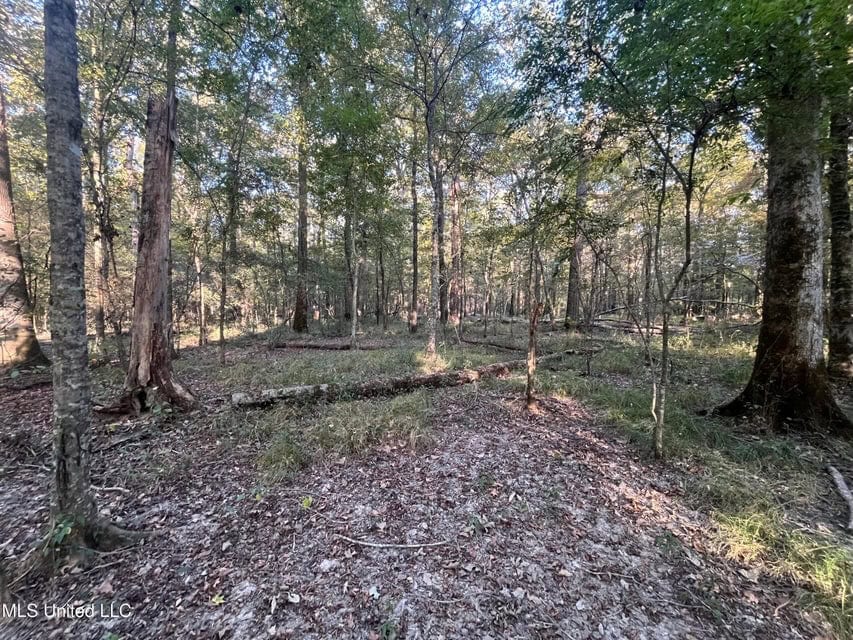 Great Hunting Tract in Bolton, MS for Sale