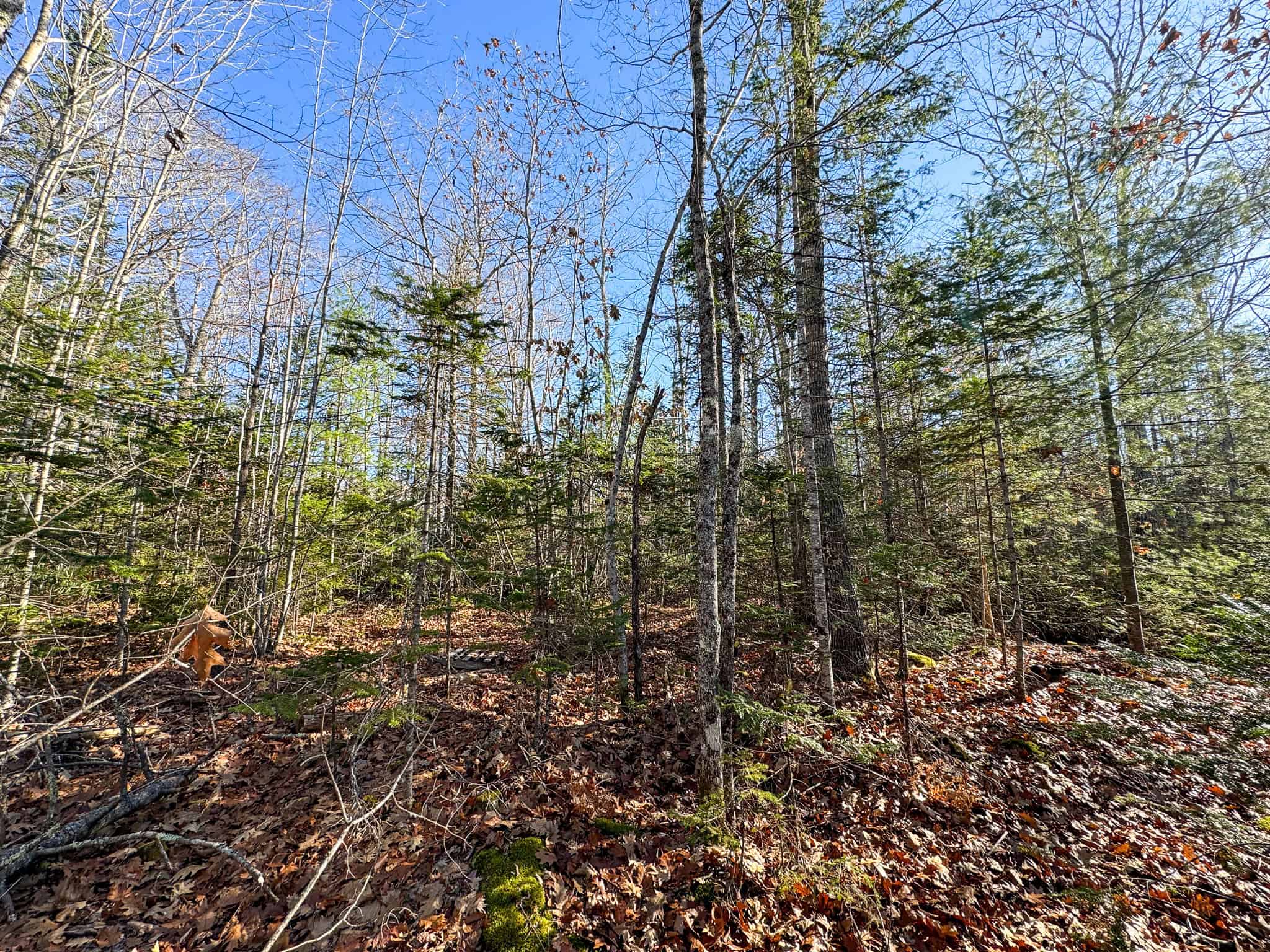 Camp on 33± Acres in Cherryfield