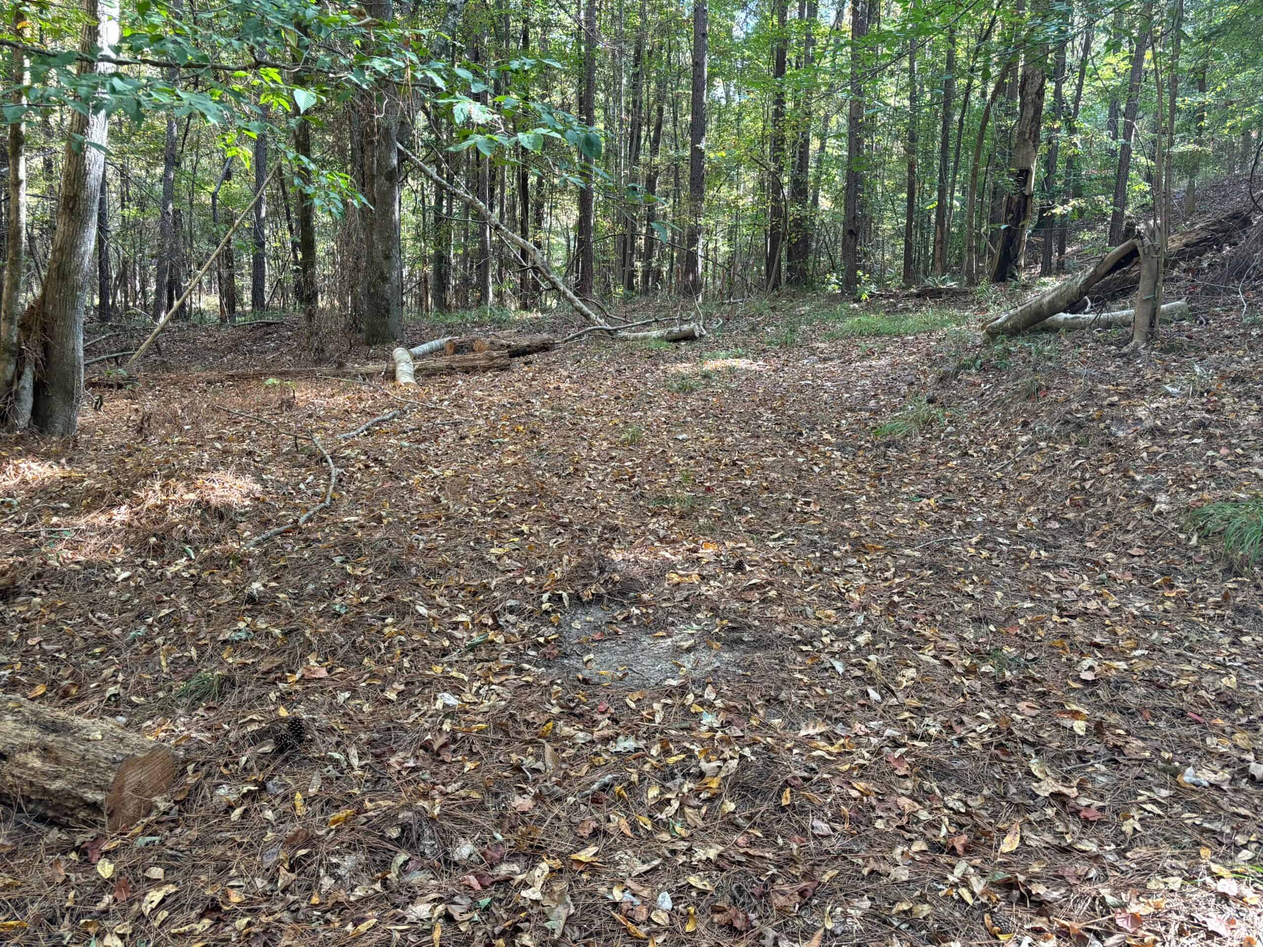175 Acres Hunting and Timberland for Sale Franklin Co. MS