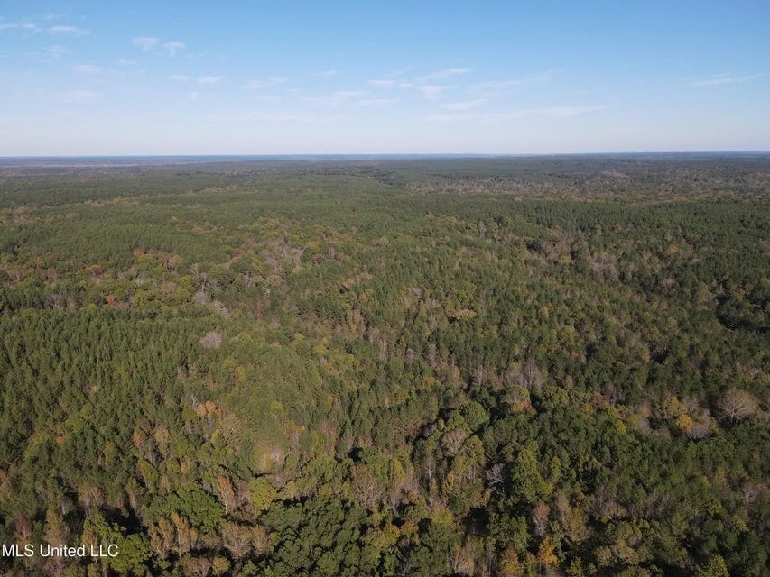Carver Point Timber Tract in Grenada Co at Grenada Lake