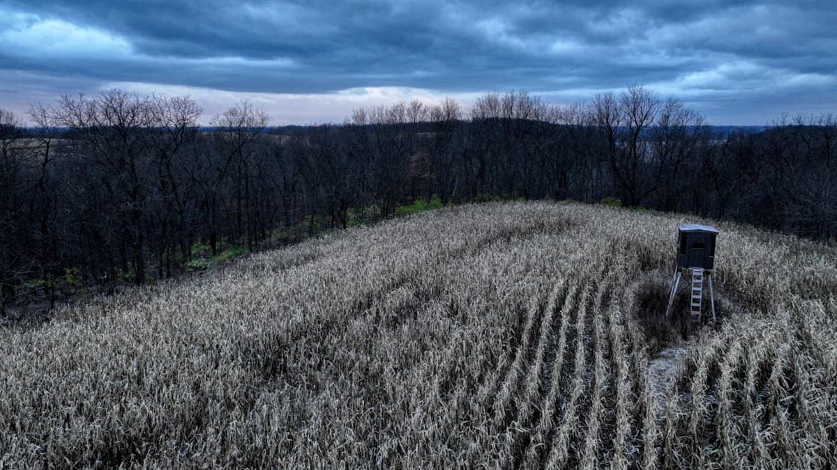 52+/- Acre Property Located on Lucky Lane in Crawford County, WI