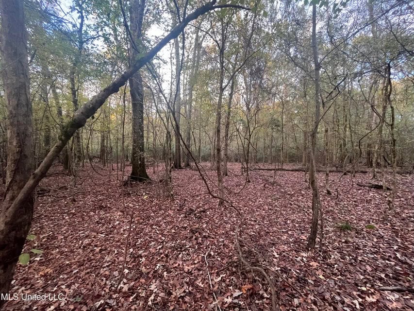 100 Acres of Prime Development or Country Homesite