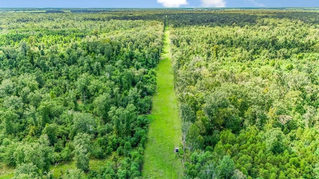 196 Acre Sportsman’s Paradise Pointe Coupee Parish, LA