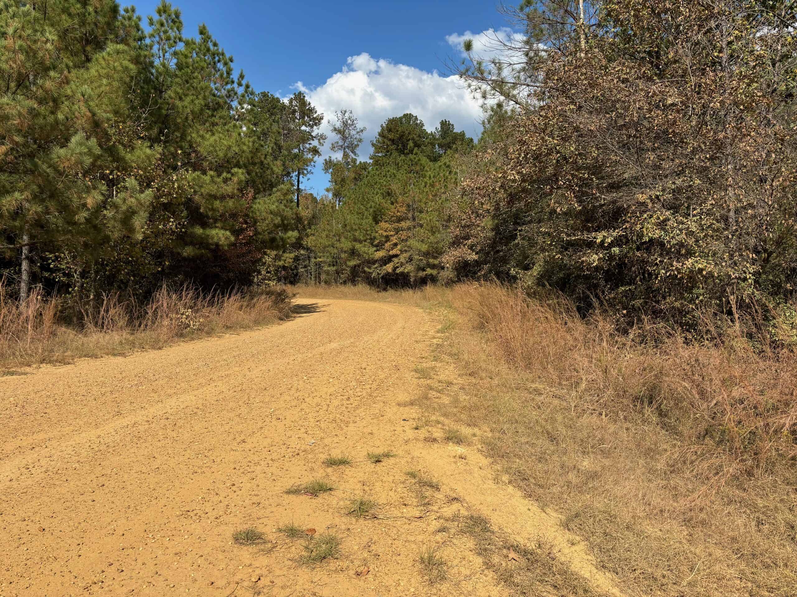 175 Acres Hunting and Timberland for Sale Franklin Co. MS