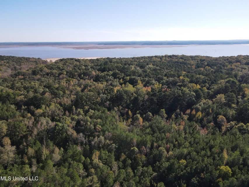 Carver Point Timber Tract in Grenada Co at Grenada Lake