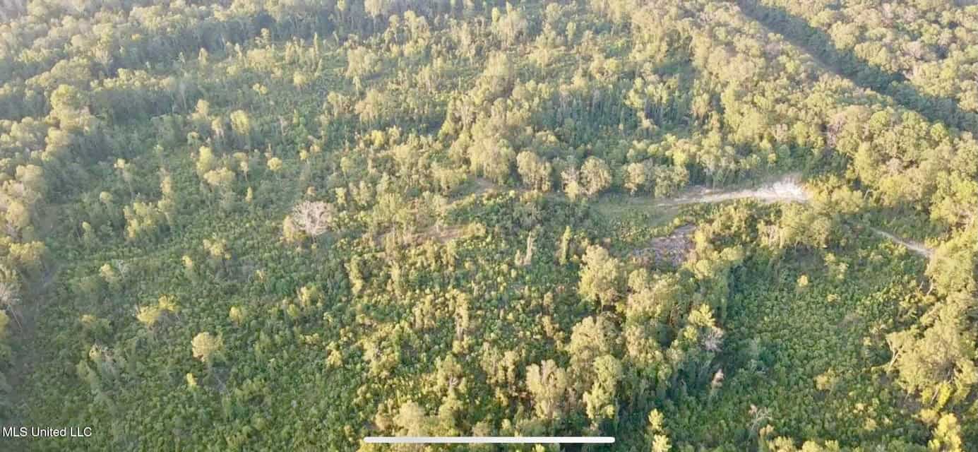 100 Acres of Prime Development or Country Homesite