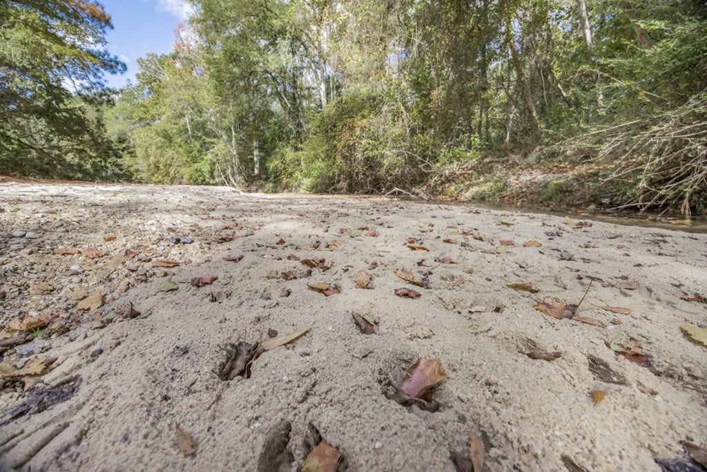 Legacy Property for Sale in Woodville, MS