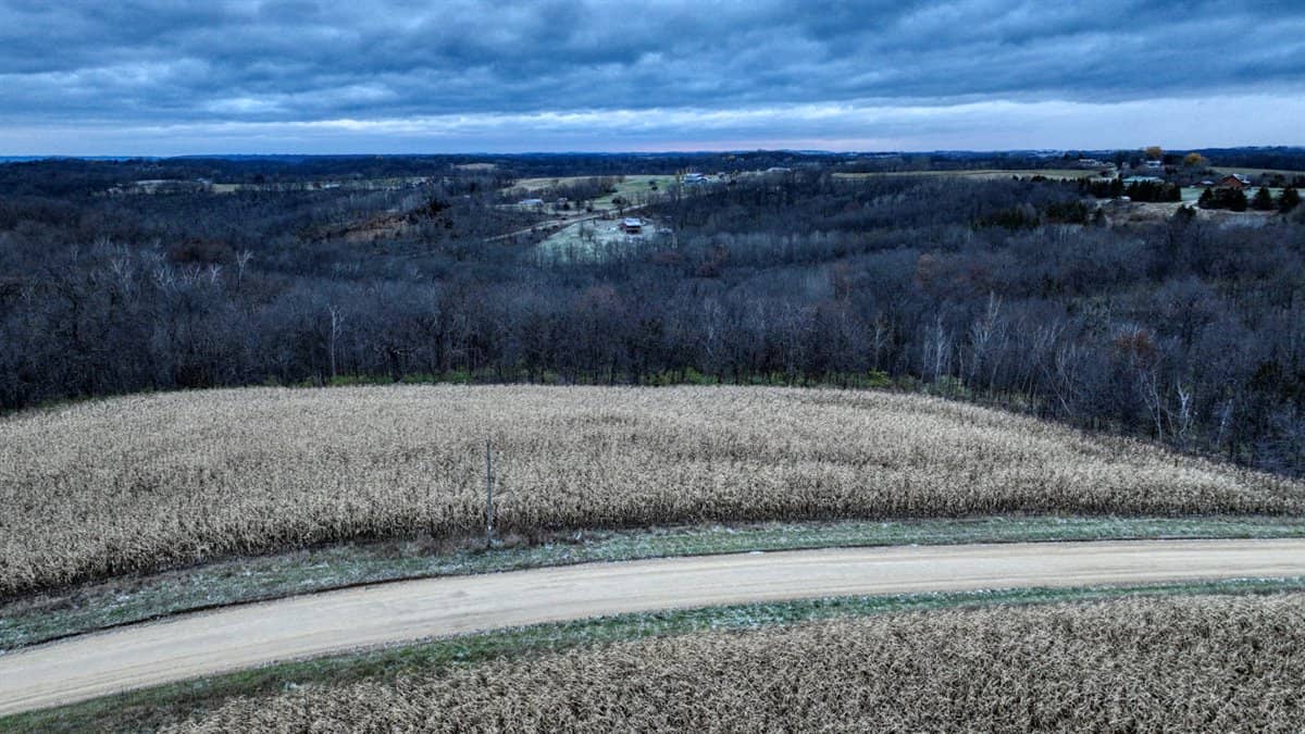 4.5+/- acres tract with additional land available Crawford Cty WI