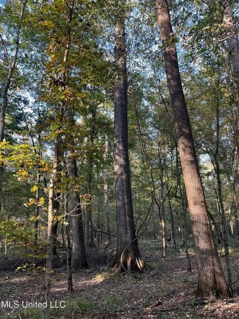 Great Hunting Tract in Bolton, MS for Sale