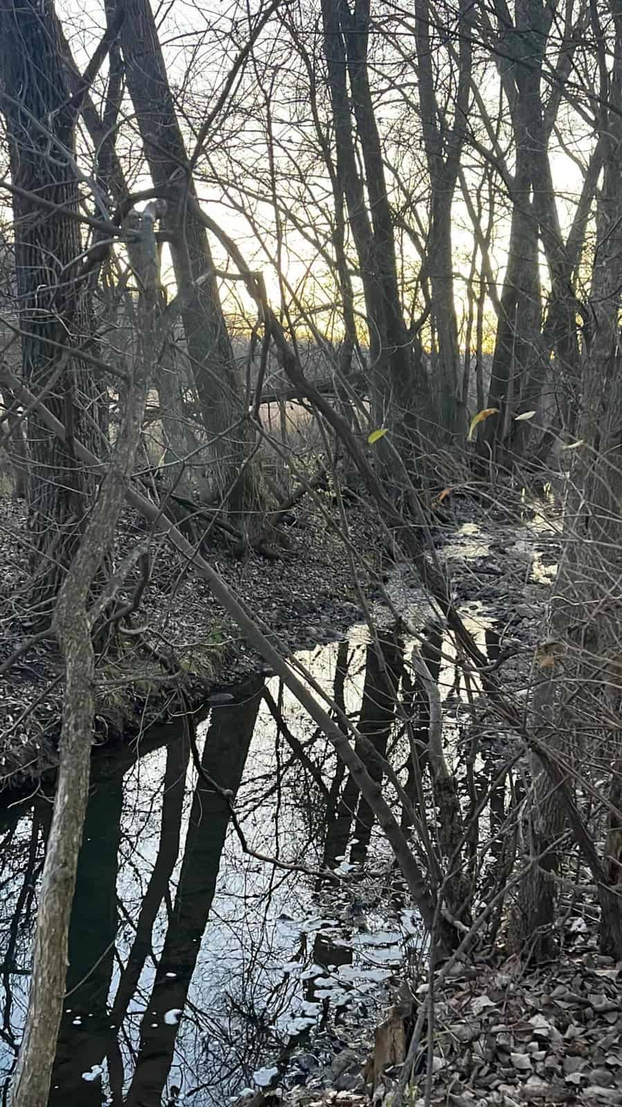Monroe County Hunting Property 44+/- Acres