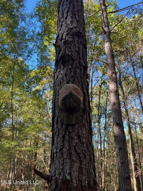 Carver Point Timber Tract in Grenada Co at Grenada Lake