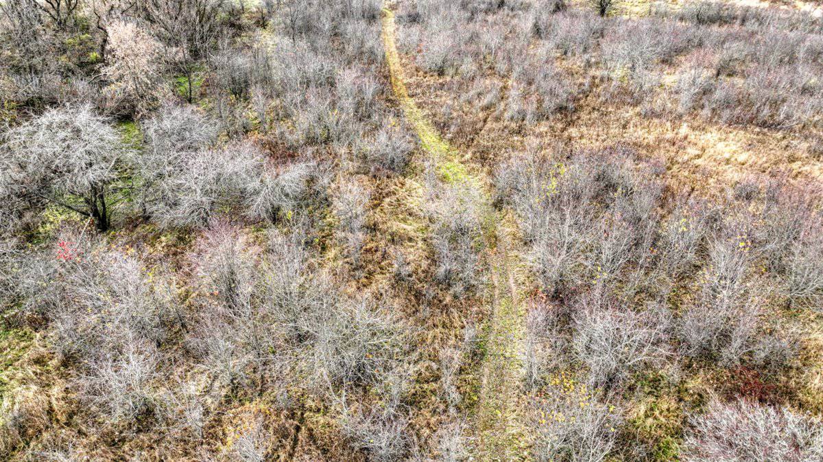 32 Acres with Endless Possibilities in Monroe County WI
