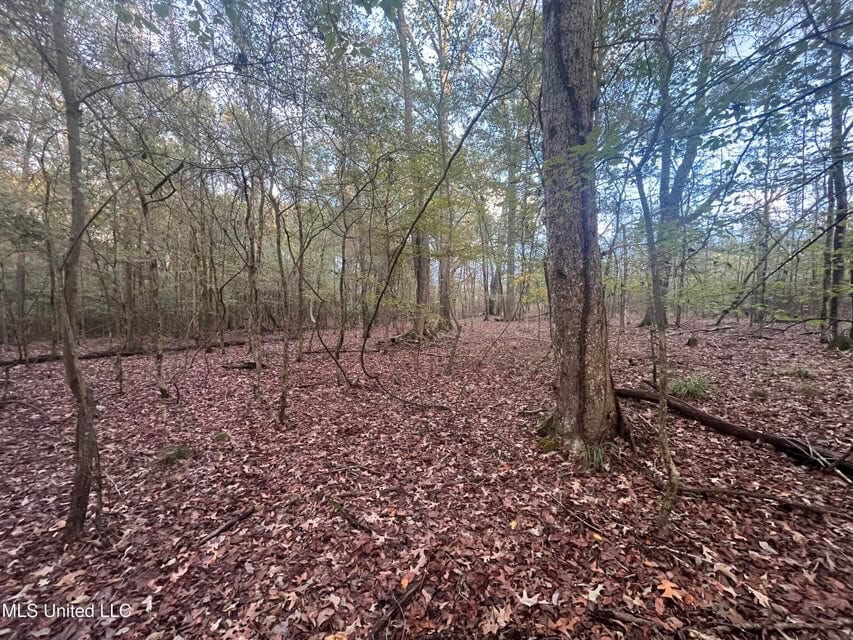 100 Acres of Prime Development or Country Homesite