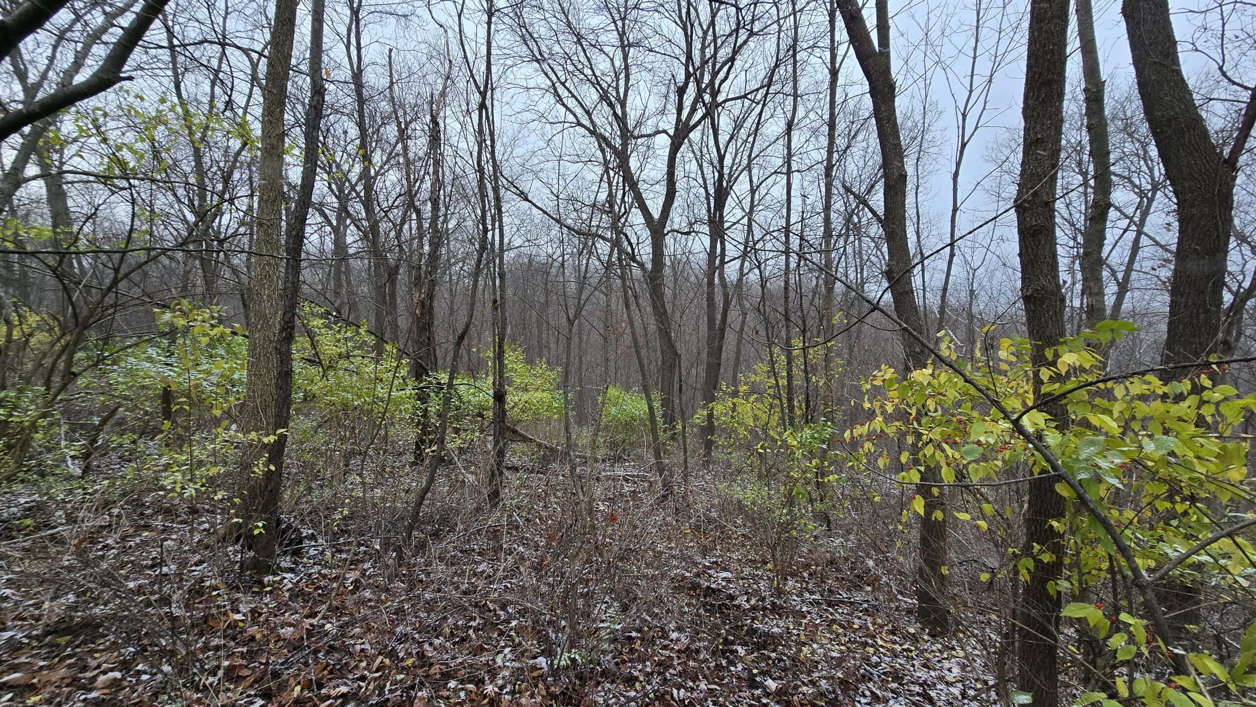 4.5+/- acres tract with additional land available Crawford Cty WI