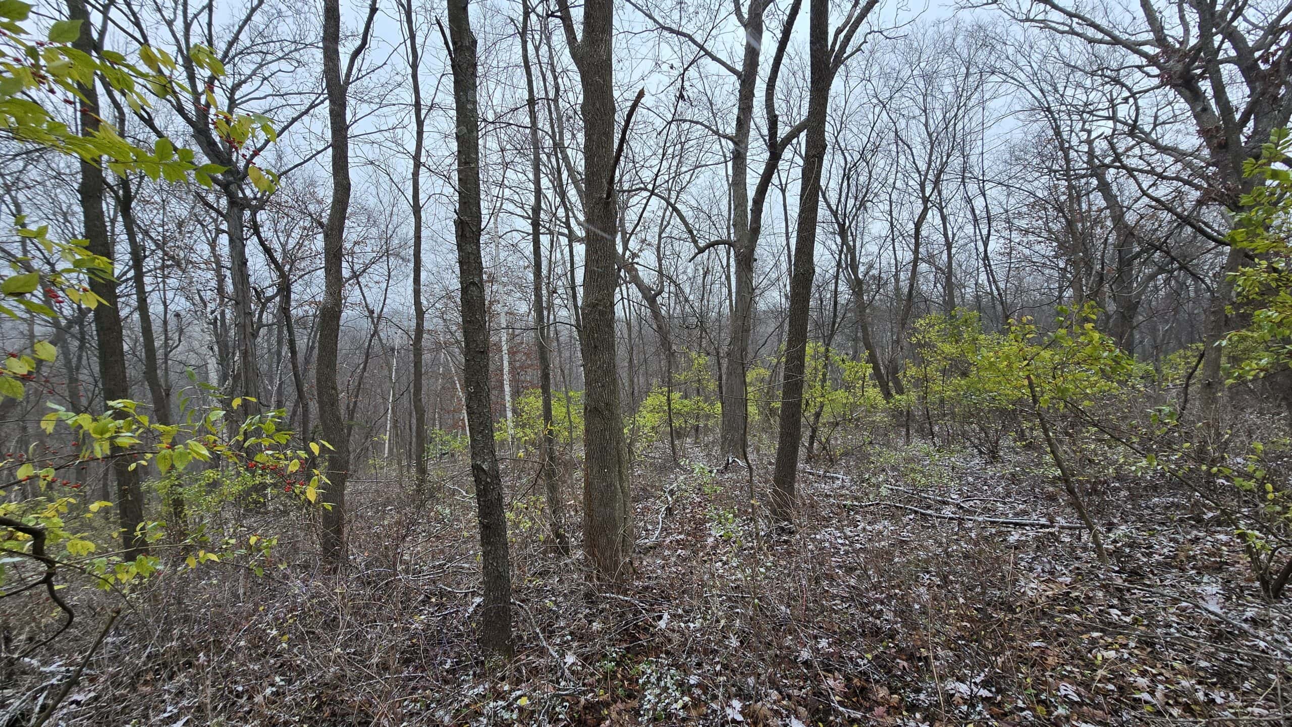 4.5+/- acres tract with additional land available Crawford Cty WI