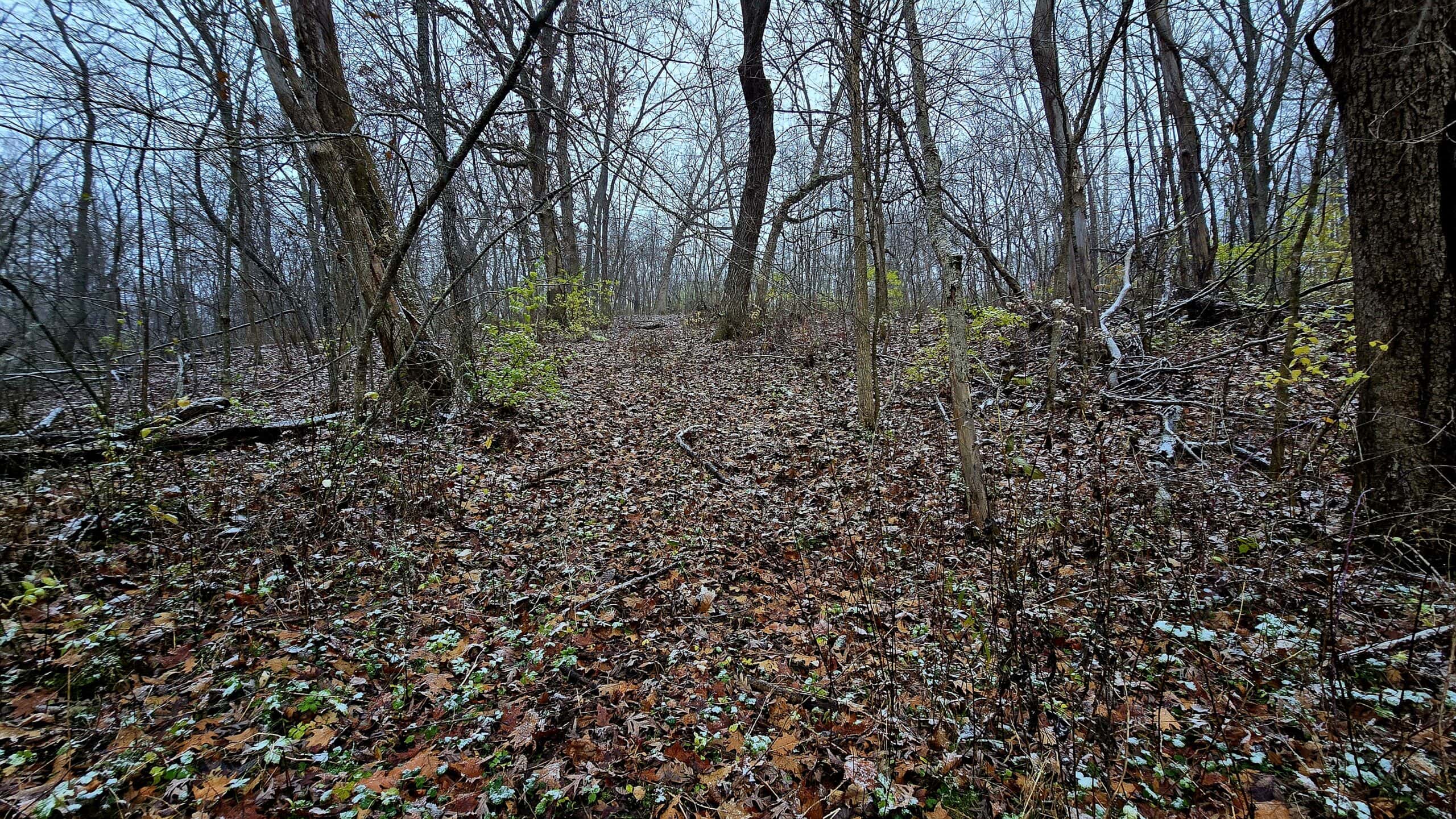 52+/- Acre Property Located on Lucky Lane in Crawford County, WI