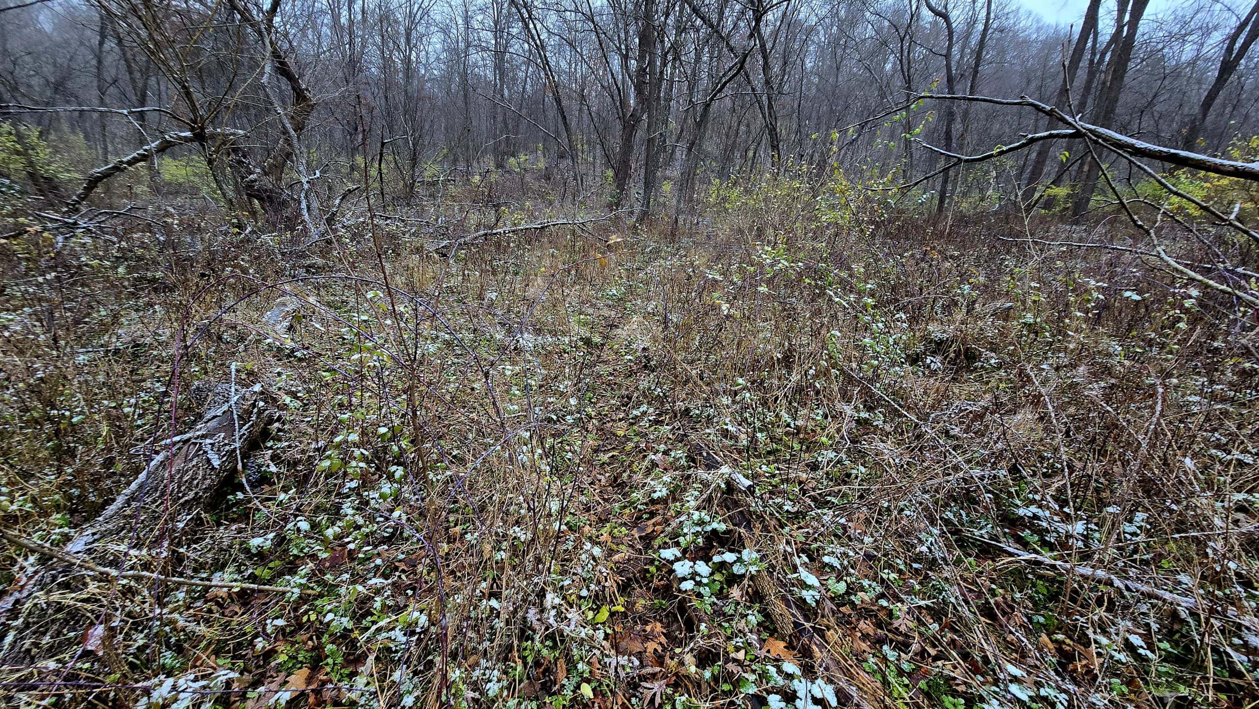 52+/- Acre Property Located on Lucky Lane in Crawford County, WI