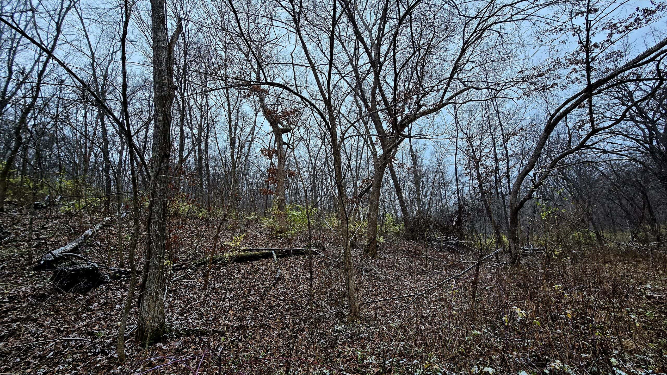 52+/- Acre Property Located on Lucky Lane in Crawford County, WI