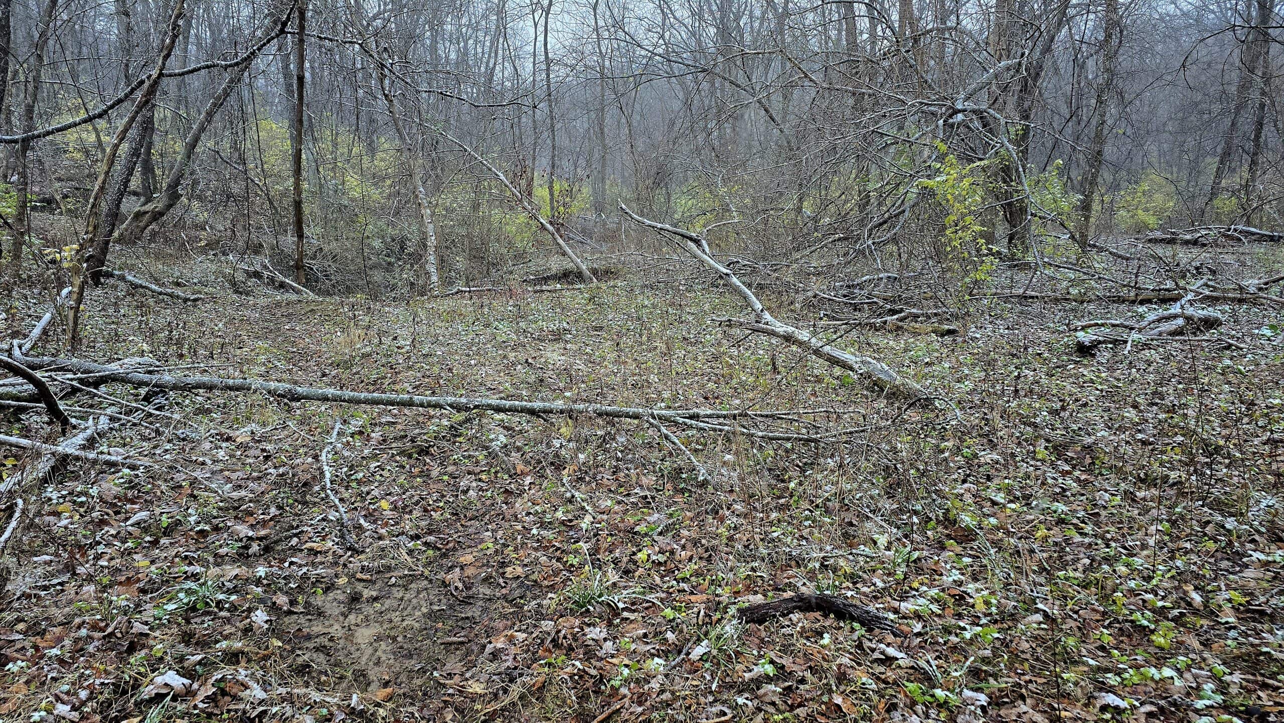 52+/- Acre Property Located on Lucky Lane in Crawford County, WI