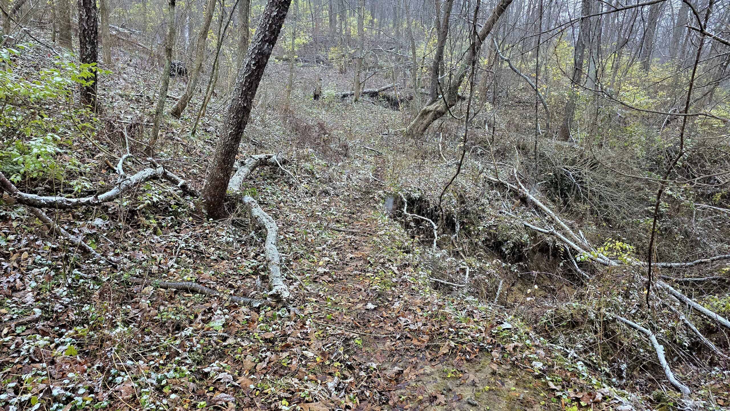 52+/- Acre Property Located on Lucky Lane in Crawford County, WI