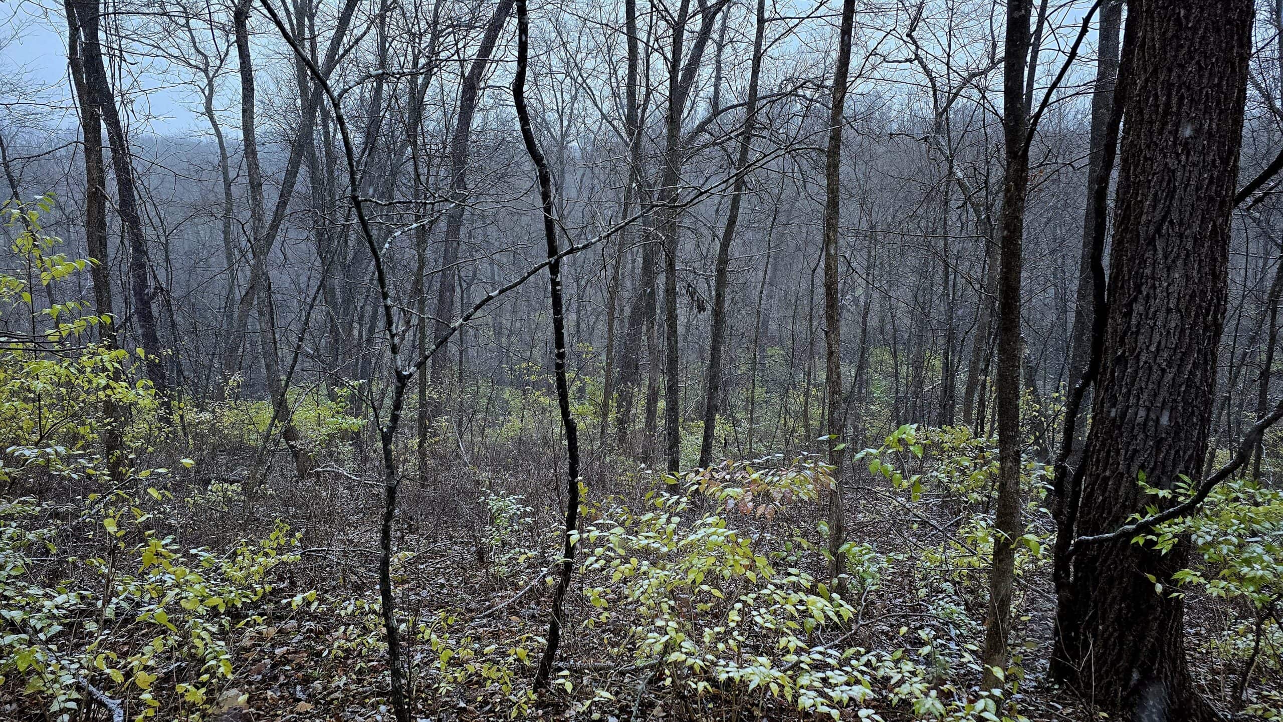 52+/- Acre Property Located on Lucky Lane in Crawford County, WI