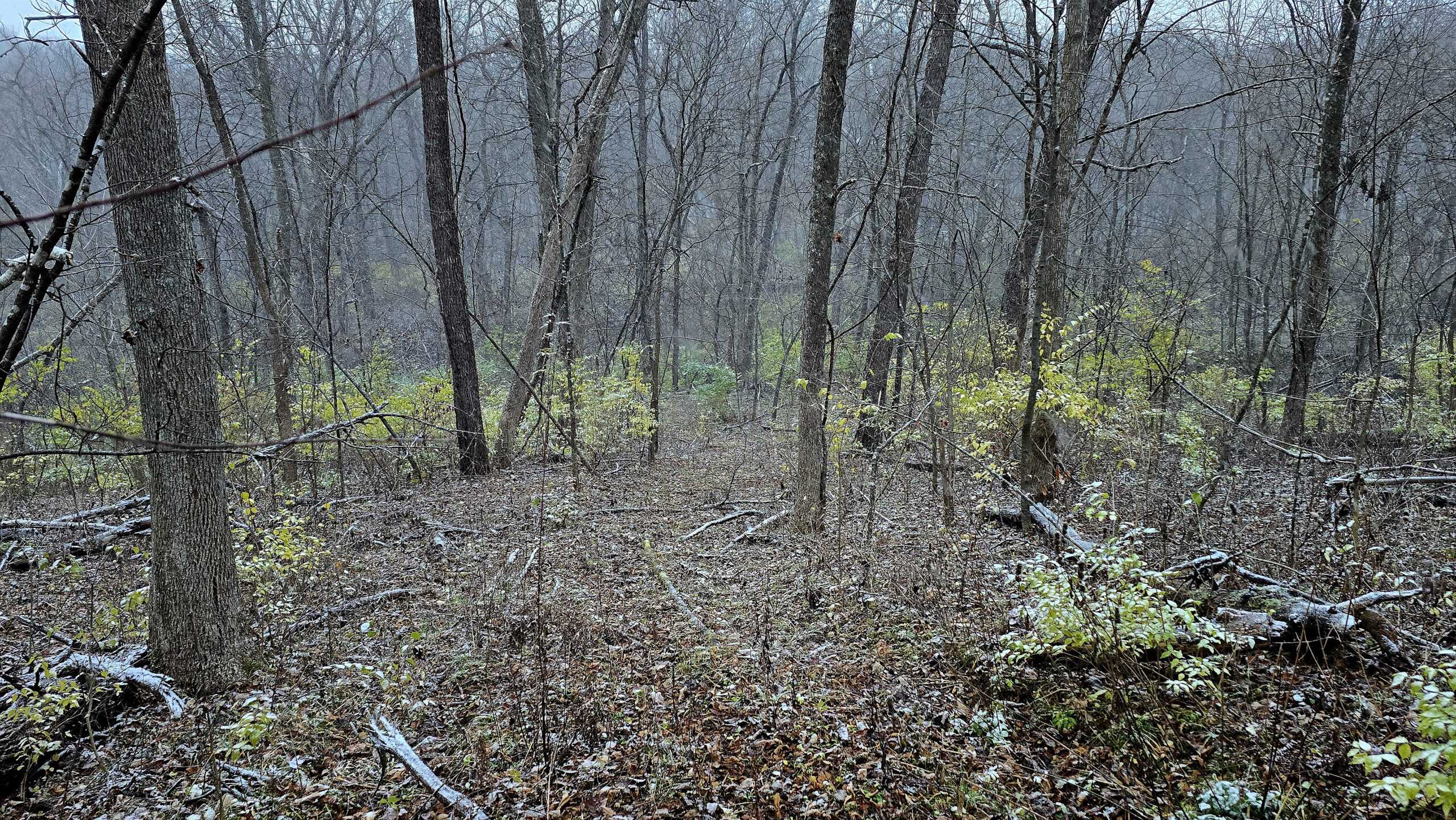52+/- Acre Property Located on Lucky Lane in Crawford County, WI