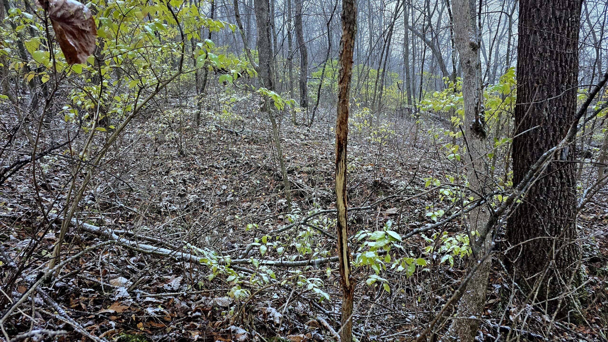 52+/- Acre Property Located on Lucky Lane in Crawford County, WI