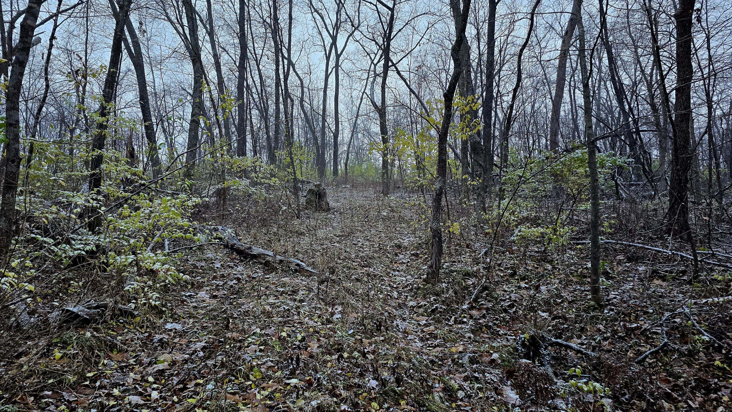 52+/- Acre Property Located on Lucky Lane in Crawford County, WI