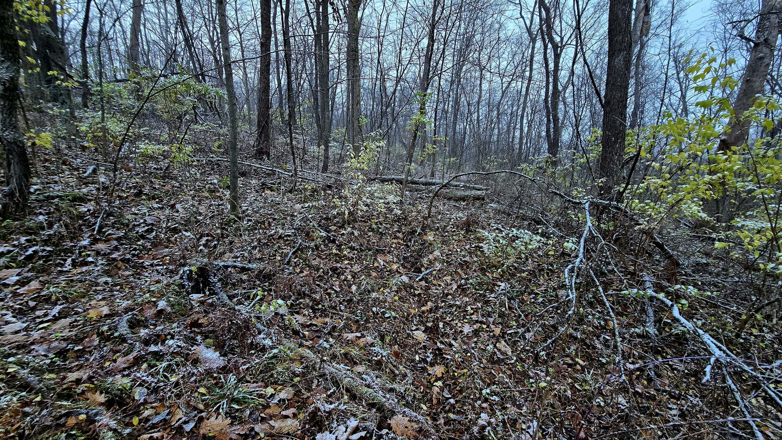 4.5+/- acres tract with additional land available Crawford Cty WI