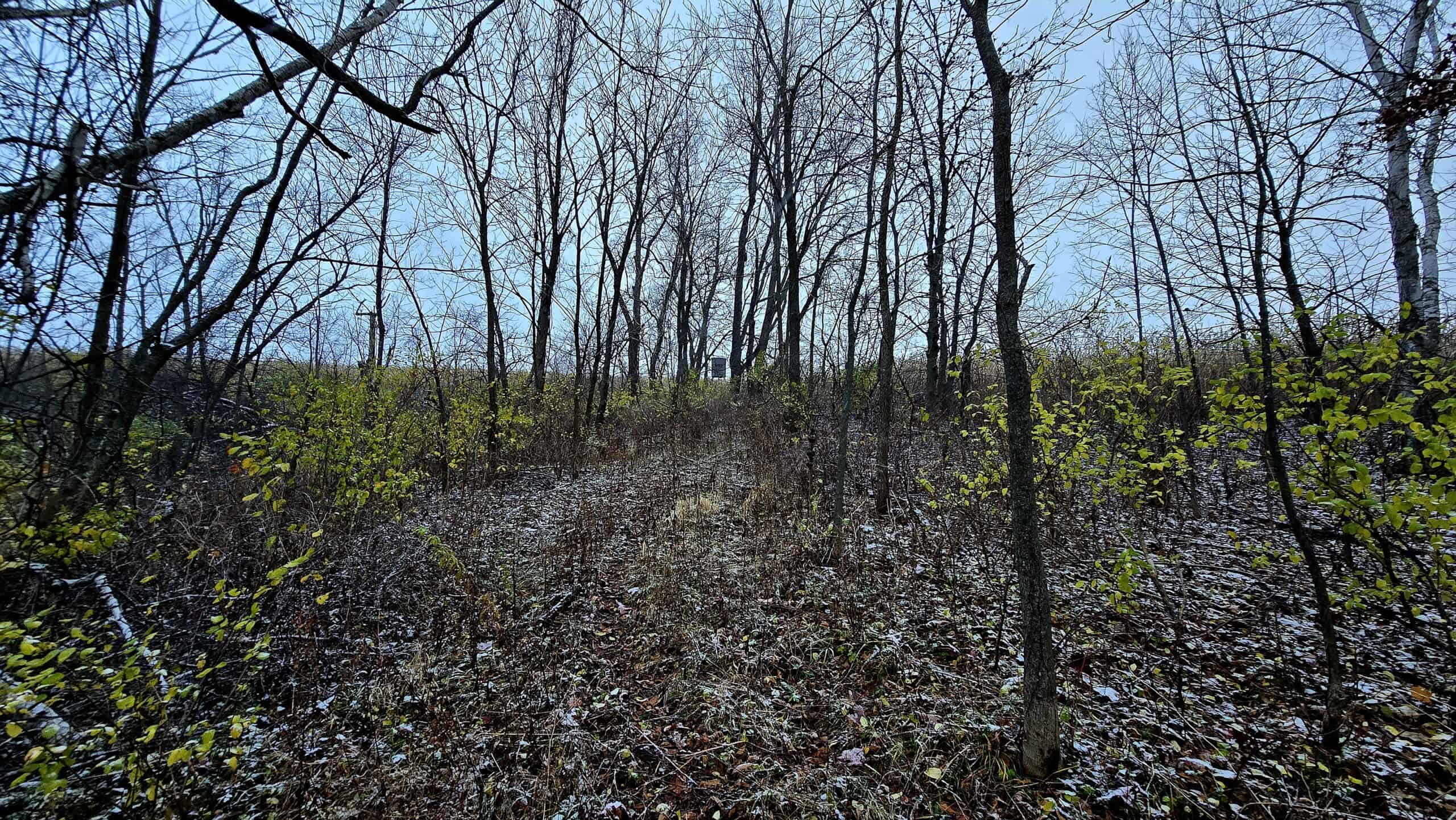 52+/- Acre Property Located on Lucky Lane in Crawford County, WI