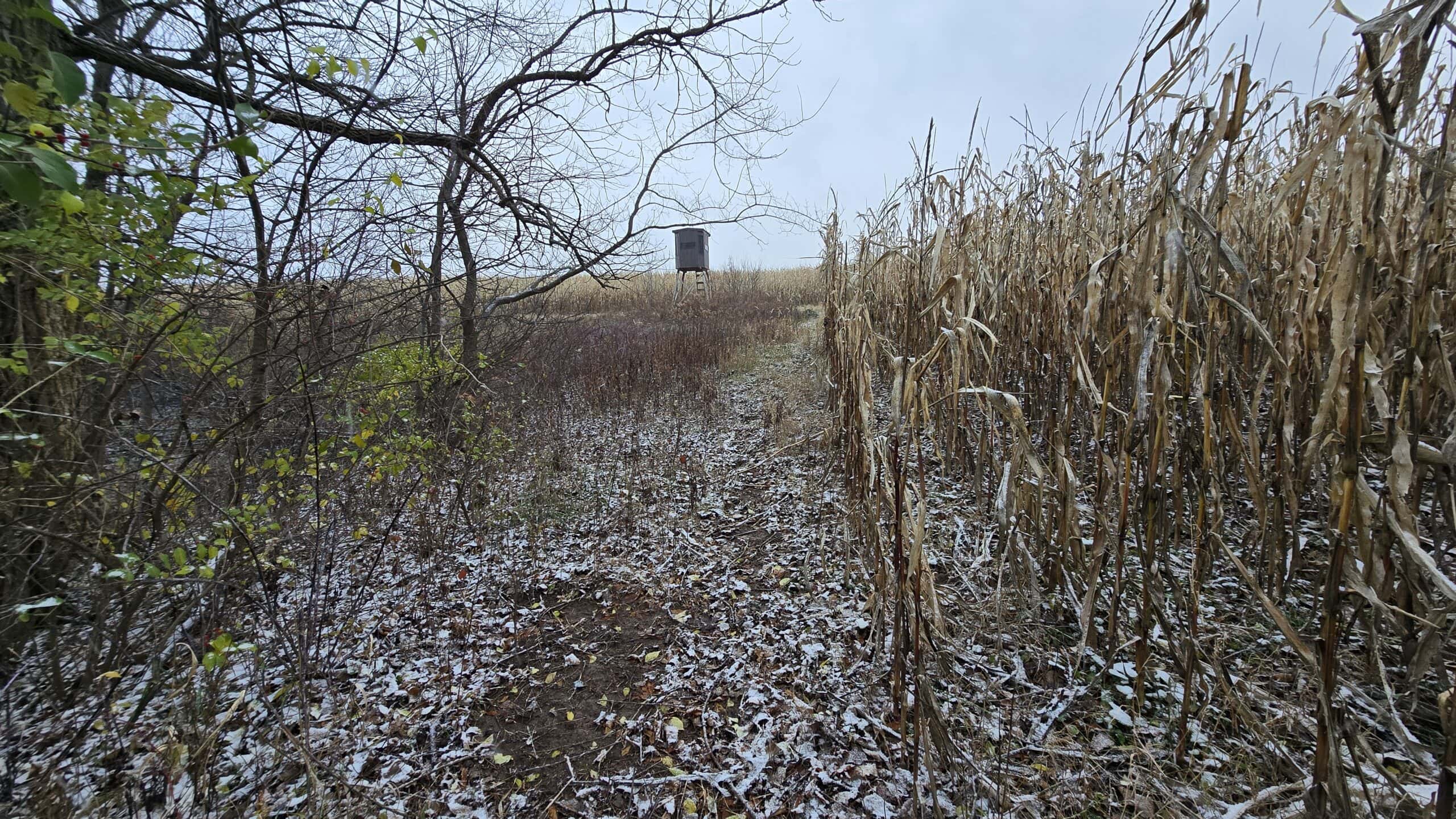 52+/- Acre Property Located on Lucky Lane in Crawford County, WI