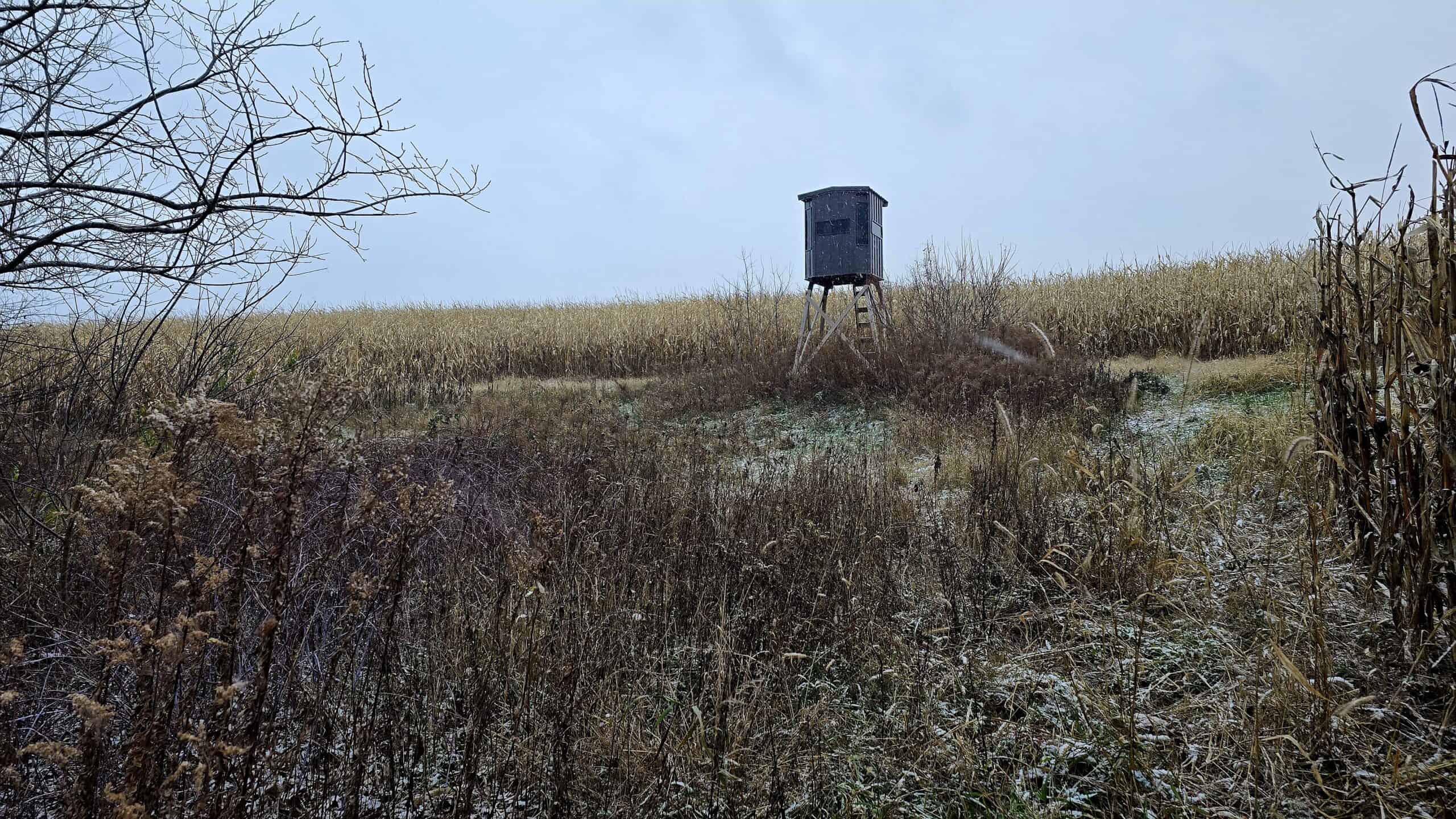 52+/- Acre Property Located on Lucky Lane in Crawford County, WI