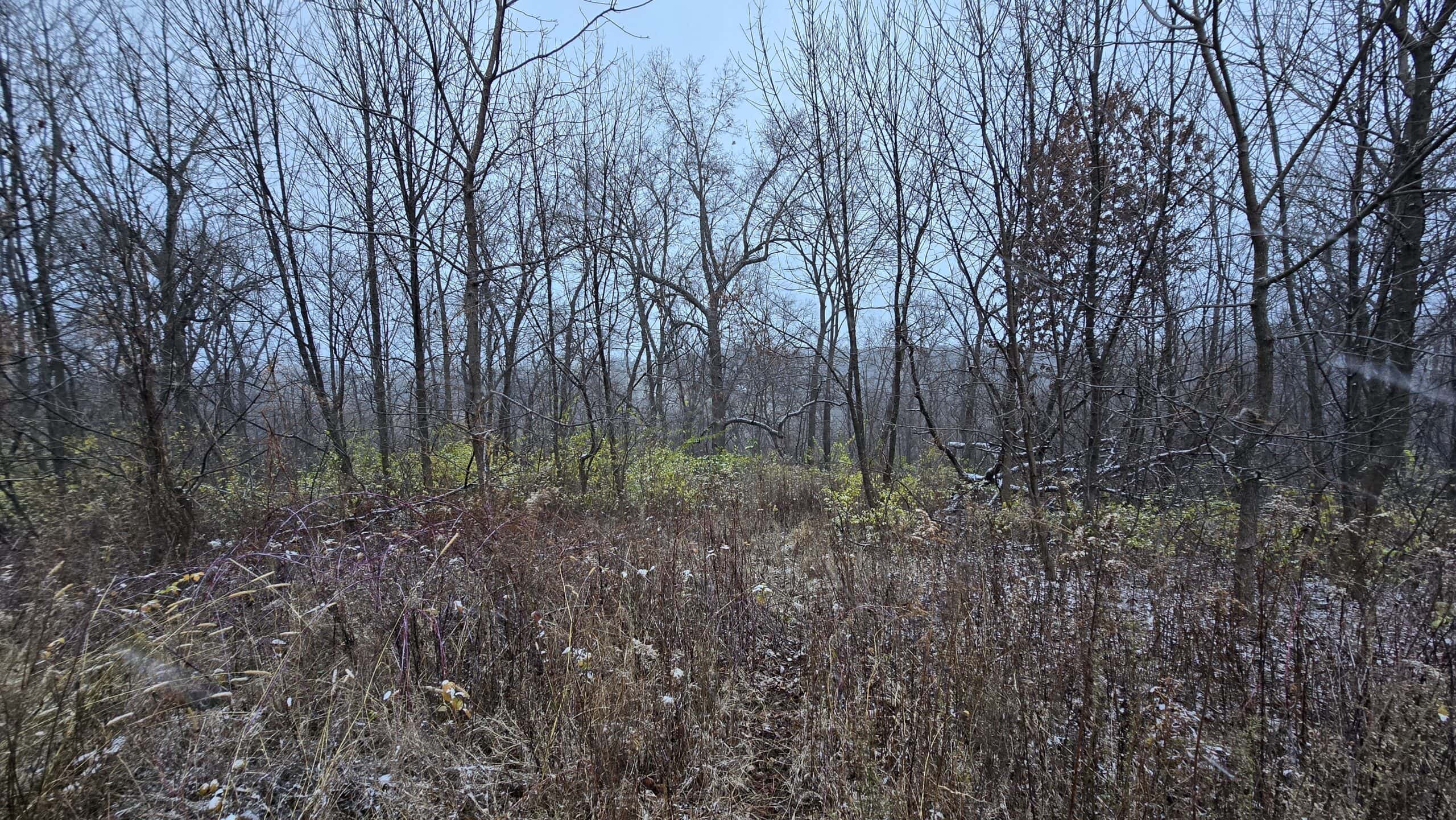 52+/- Acre Property Located on Lucky Lane in Crawford County, WI