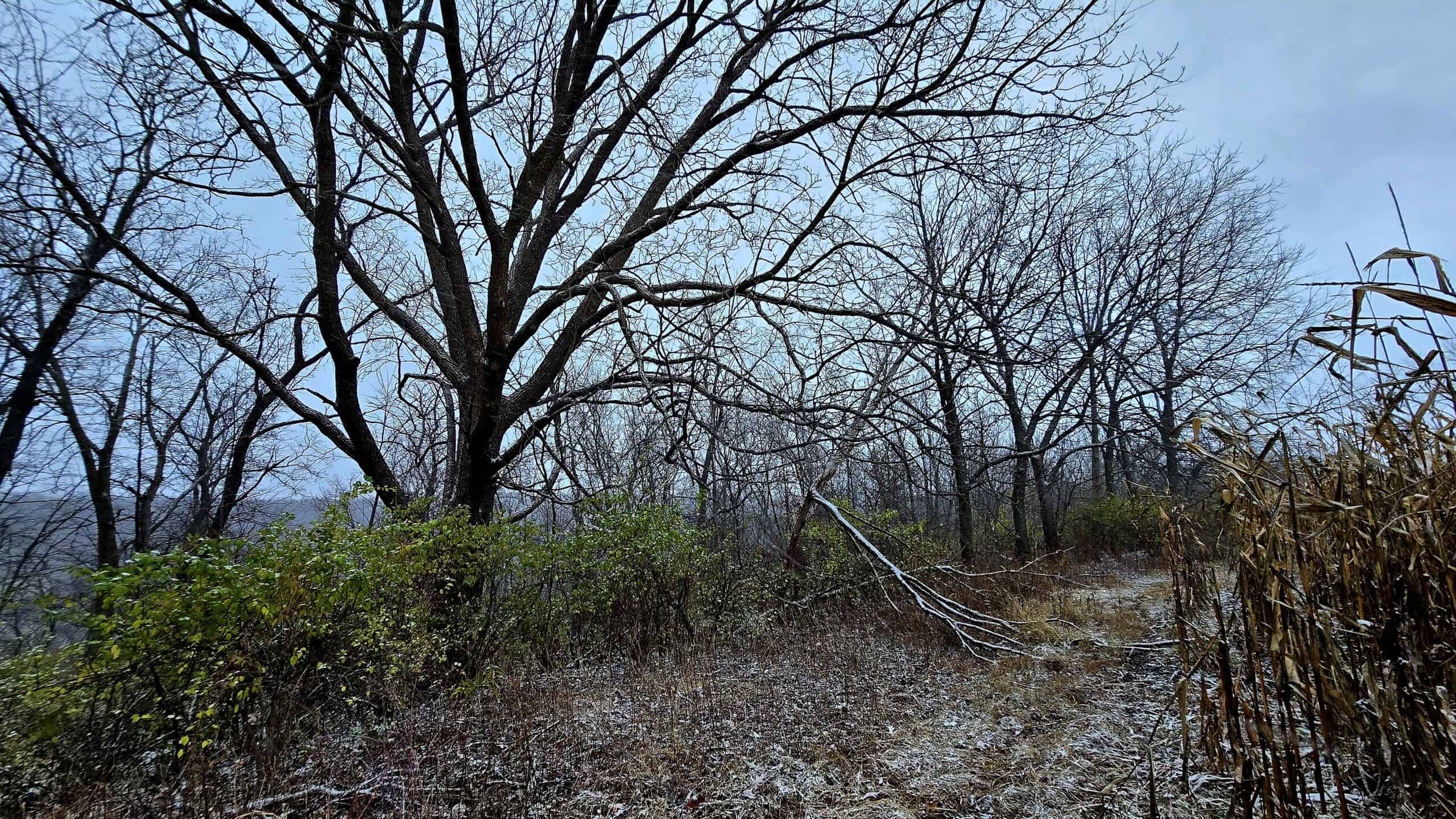 4.5+/- acres tract with additional land available Crawford Cty WI