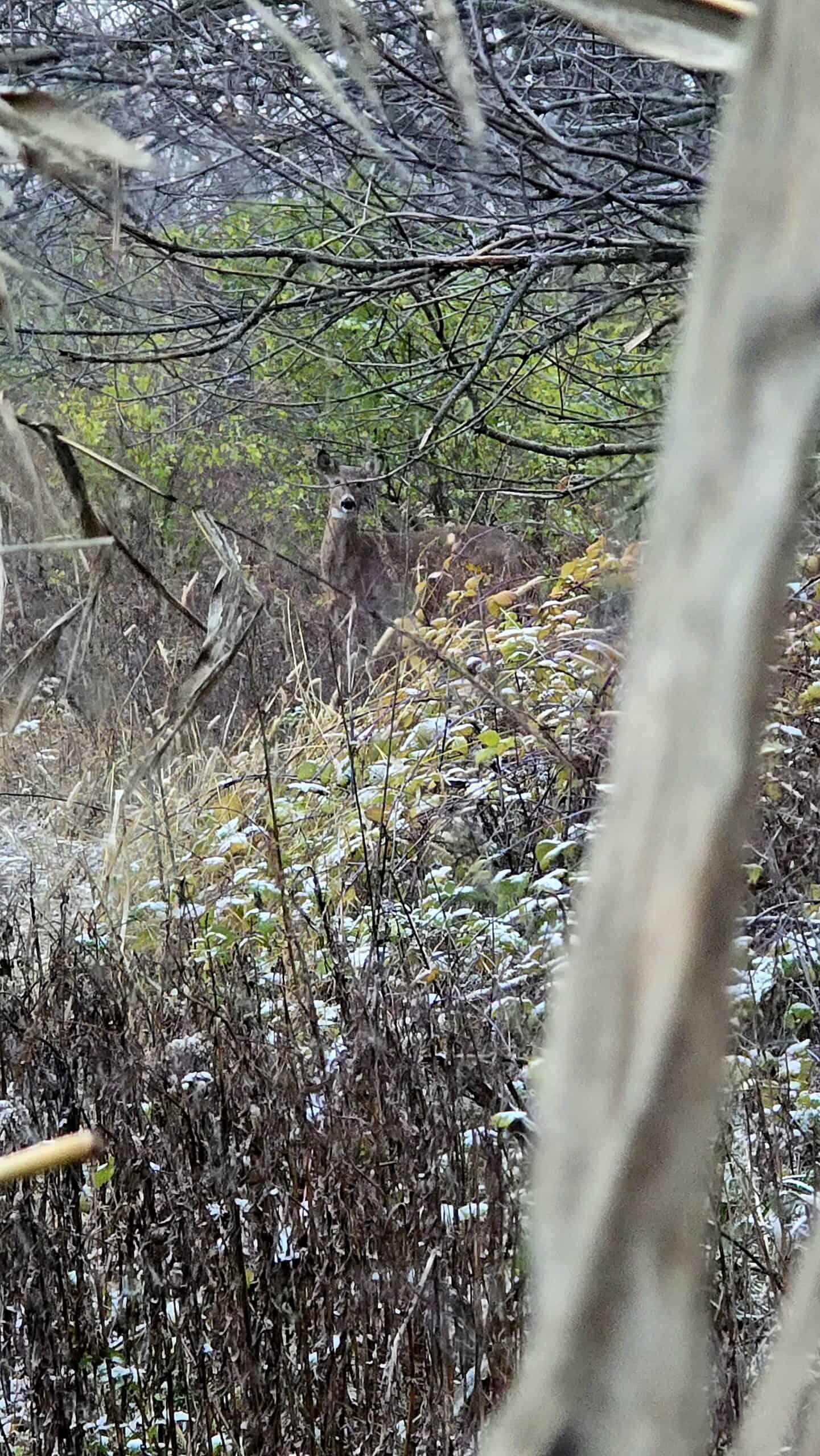 52+/- Acre Property Located on Lucky Lane in Crawford County, WI