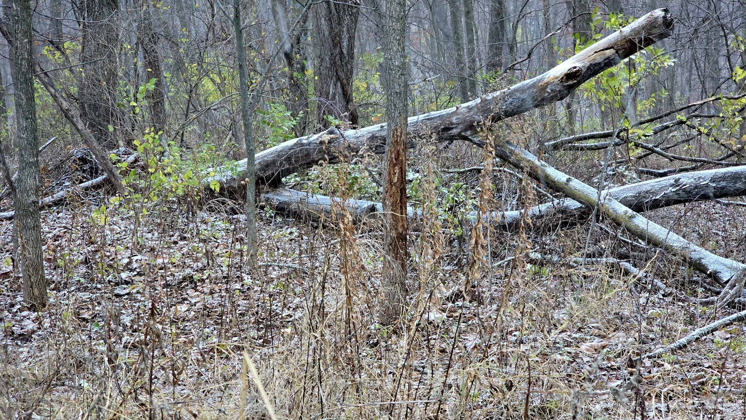 52+/- Acre Property Located on Lucky Lane in Crawford County, WI