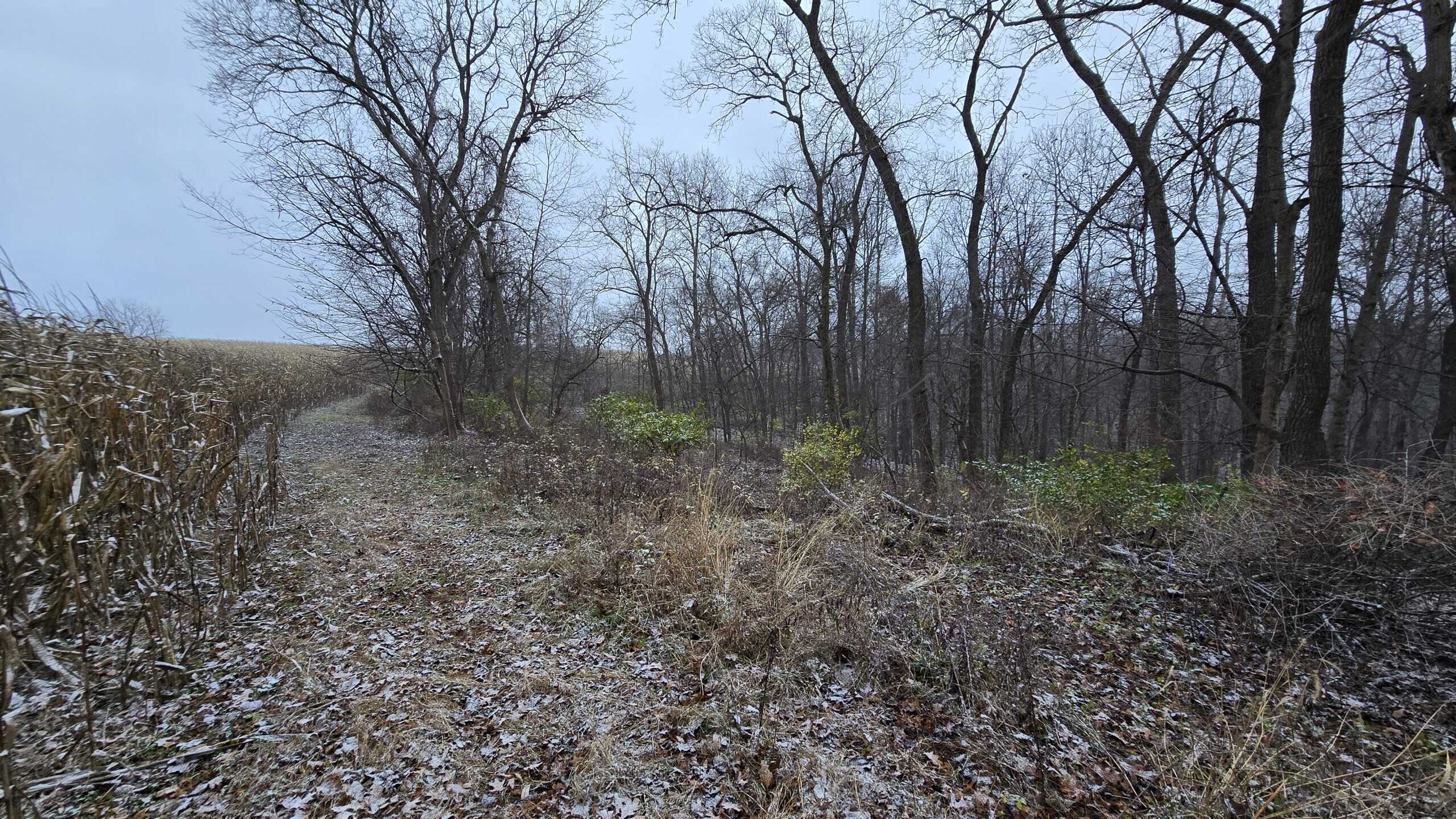 52+/- Acre Property Located on Lucky Lane in Crawford County, WI