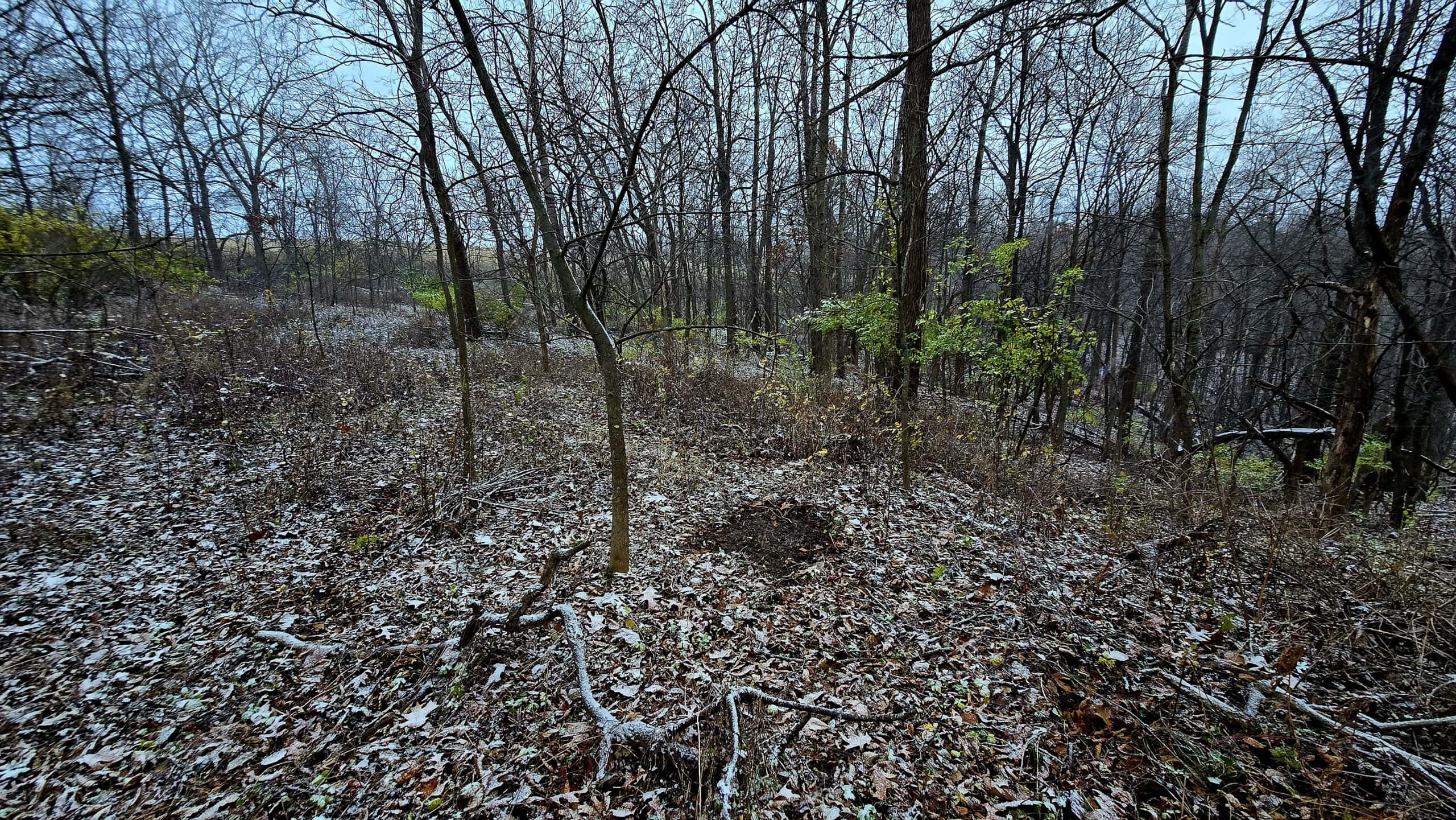 52+/- Acre Property Located on Lucky Lane in Crawford County, WI