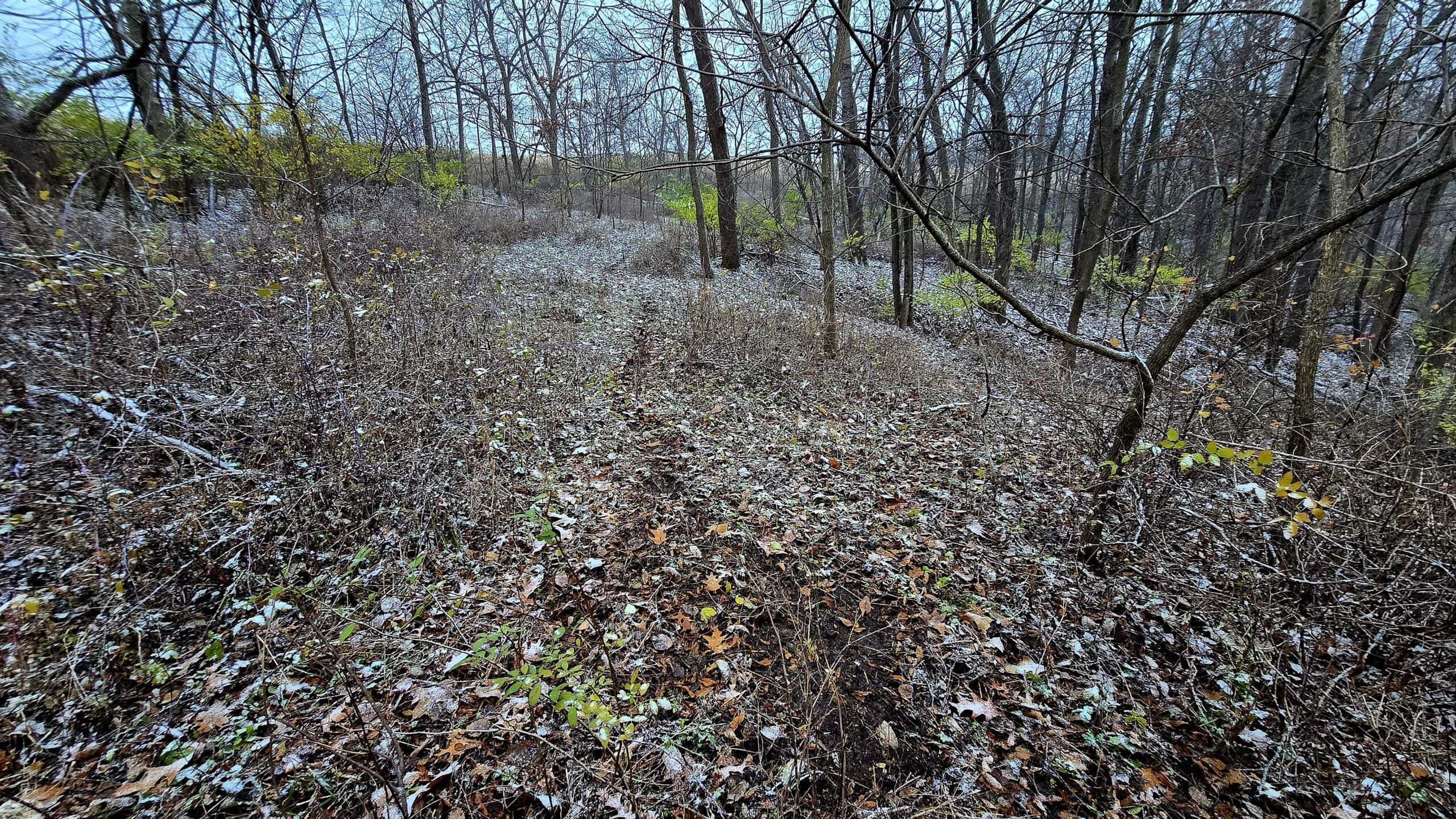 4.5+/- acres tract with additional land available Crawford Cty WI
