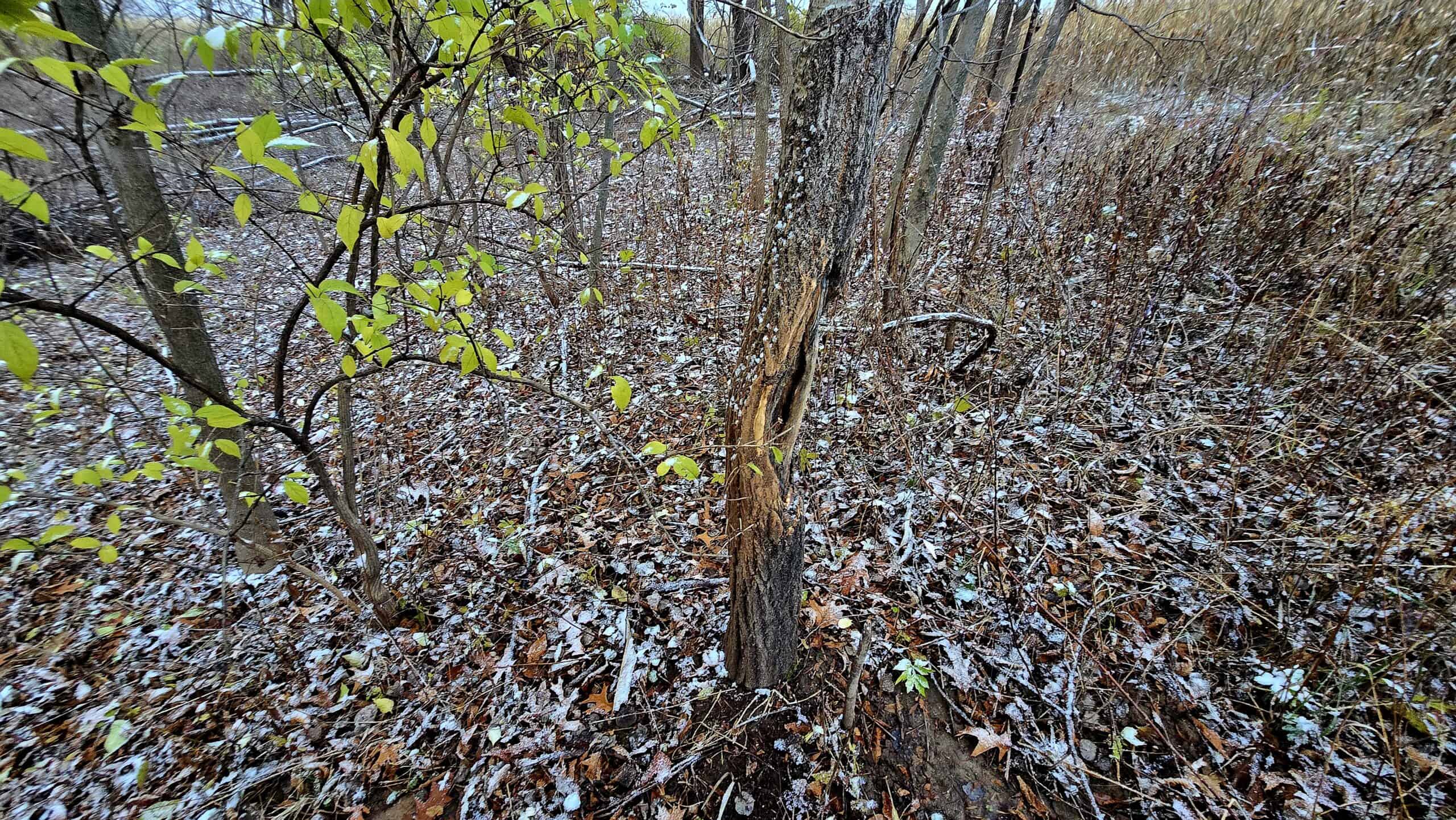 4.5+/- acres tract with additional land available Crawford Cty WI