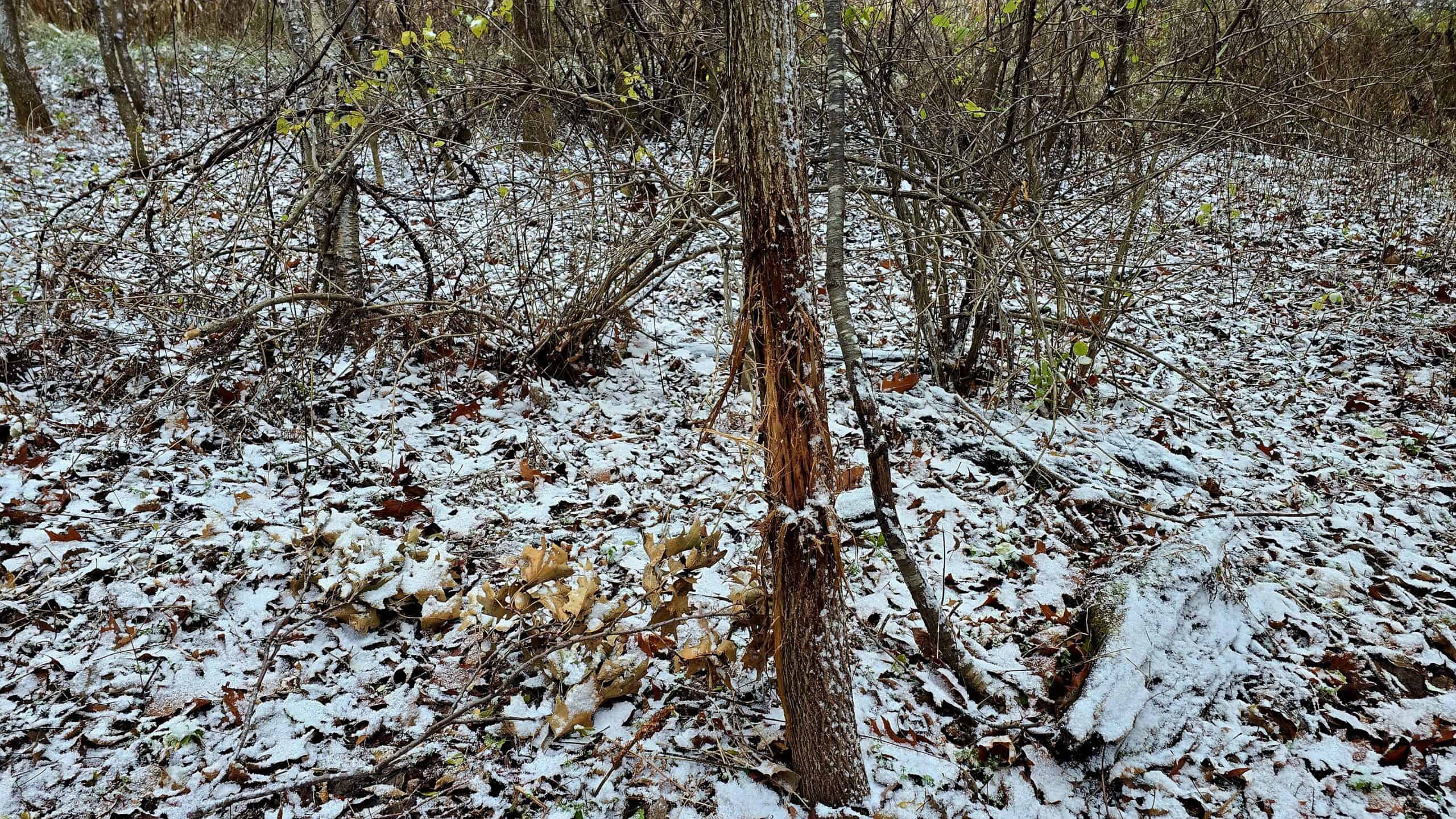4.5+/- acres tract with additional land available Crawford Cty WI